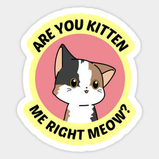 Are You Kitten Me Right Meow - Cute Cat Pun Sticker